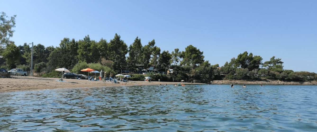 © Dragana Marjanovic